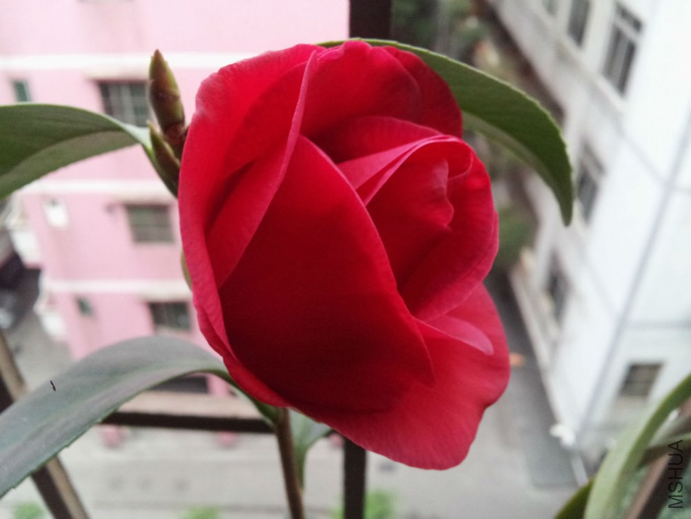20150228_073634.jpg