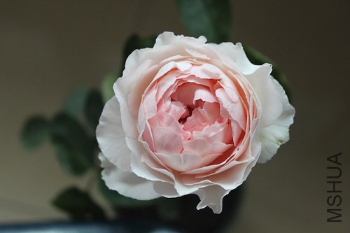 p24060697-2.jpg