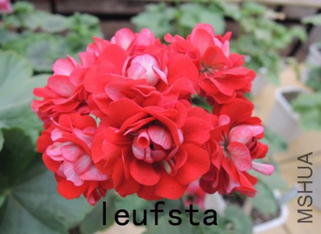 leufsta.jpg