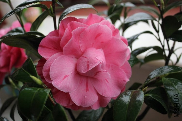 ��������3 (1).jpg