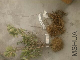 UC_Photo_027.jpg