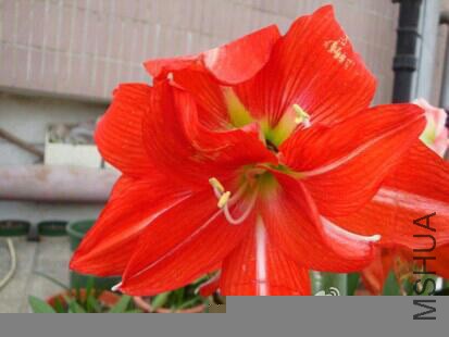 img-ccbc9f495ff37da7cb0bc27b1ad1310a.jpg