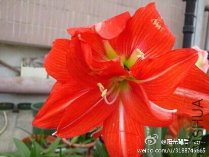 img-ccbc9f495ff37da7cb0bc27b1ad1310a.jpg