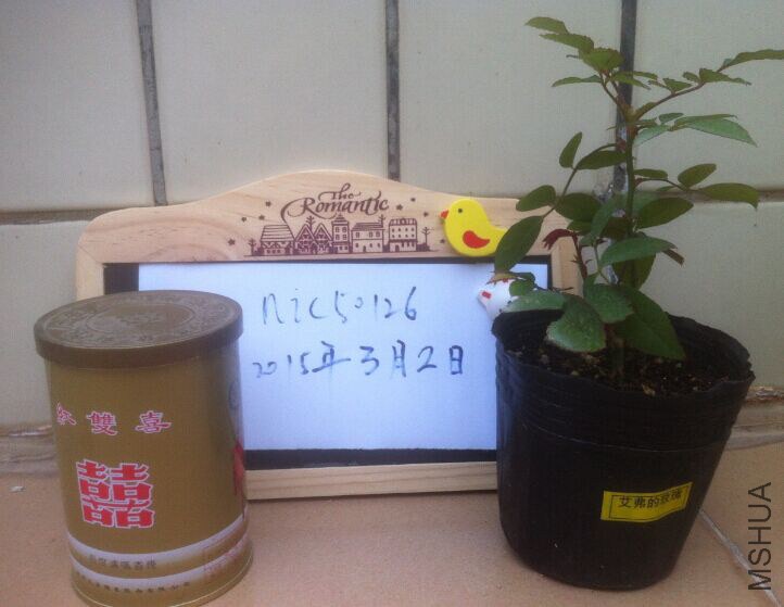 2����.jpg