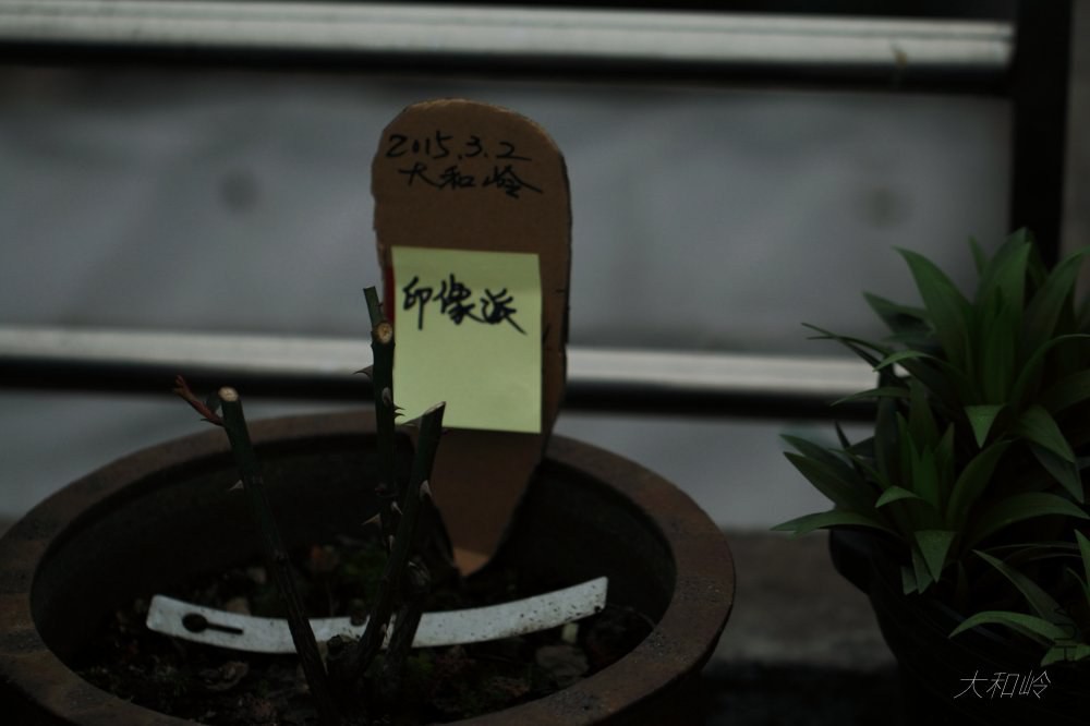 dpp_0048.jpg