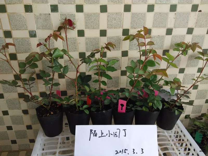 �ι⻷�������췽ҹ̷���ι⻷�������췽ҹ̷.jpg