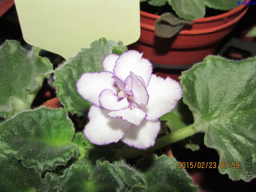 IMG_8208_nEO_IMG.jpg