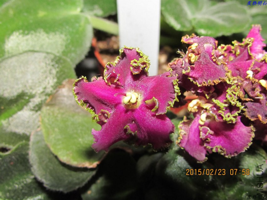 IMG_8200_nEO_IMG.jpg