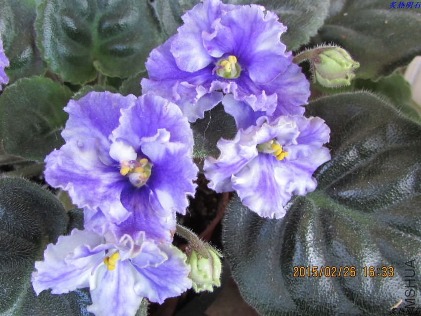 IMG_8725_nEO_IMG.jpg