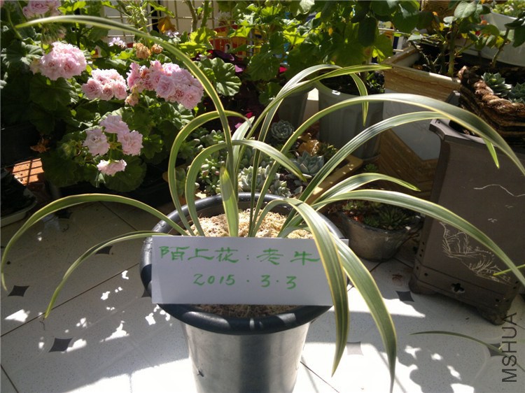 2011-12-17-1633.jpg
