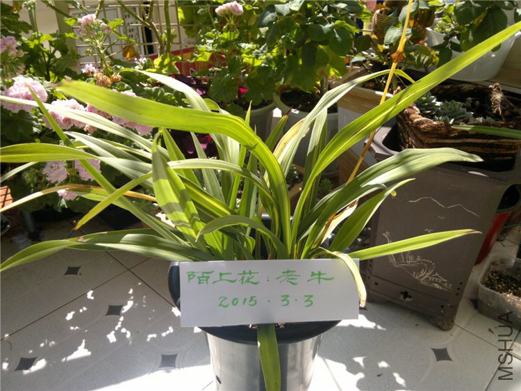 2011-12-17-1637.jpg