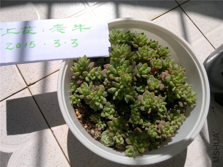 2011-12-17-1638.jpg