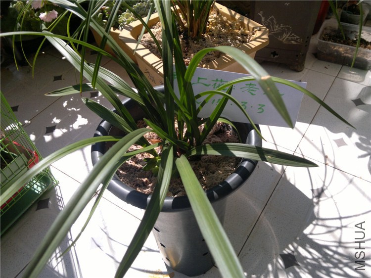 2011-12-17-1641.jpg