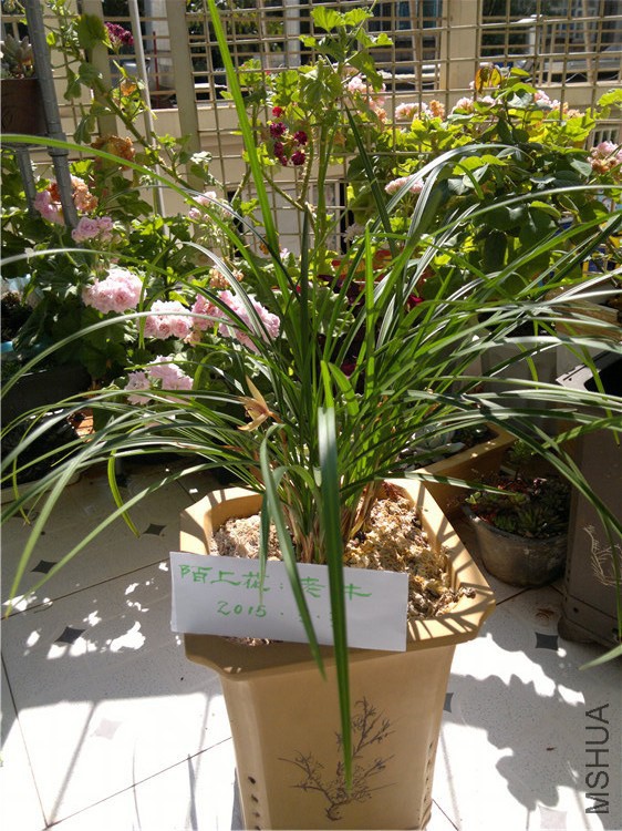 2011-12-17-1640.jpg