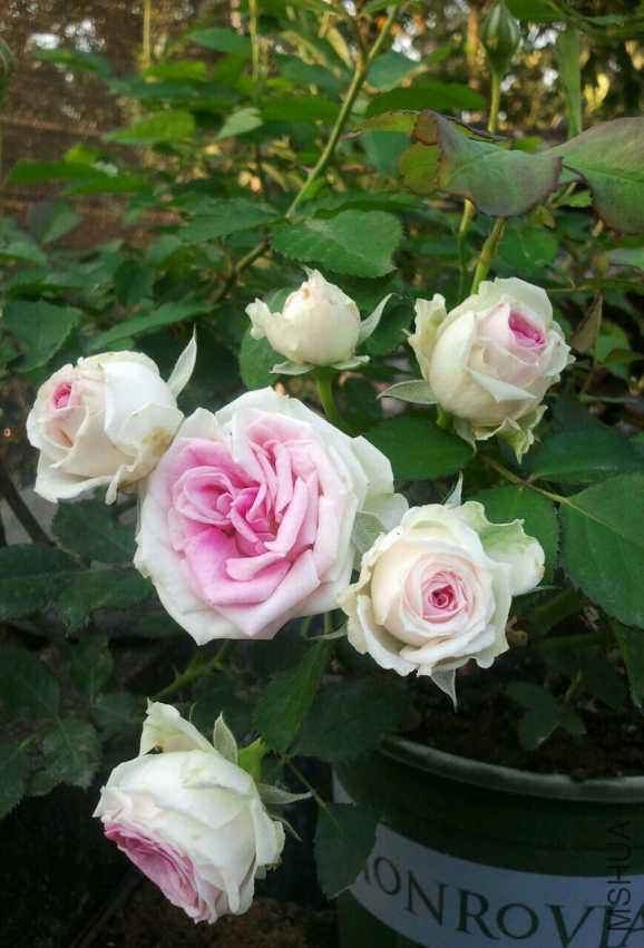 2015-02-27 17.43.23-1-1.jpg