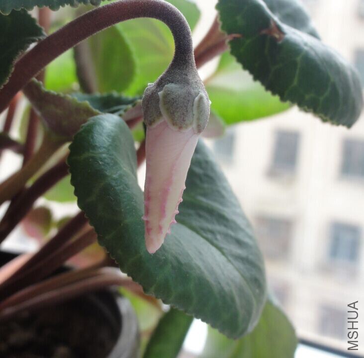 QQͼƬ20150303214324.jpg