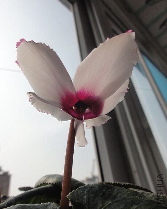 QQͼƬ20150303214339.jpg