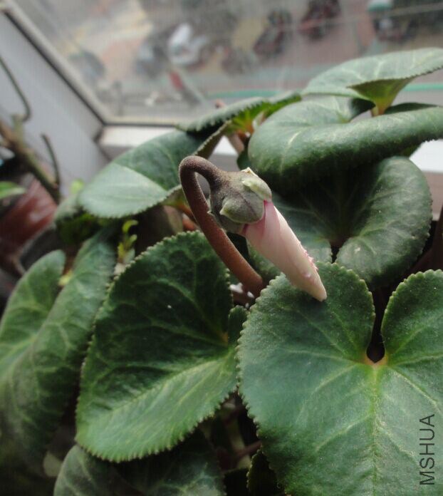 QQͼƬ20150303214335.jpg