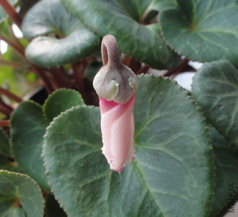 QQͼƬ20150303214416.jpg