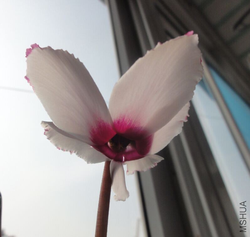 QQͼƬ20150303214547.jpg