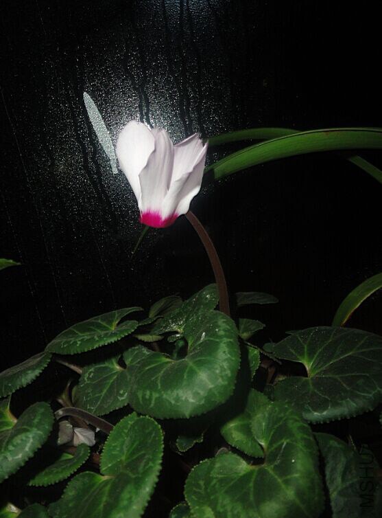 QQͼƬ20150303215840.jpg