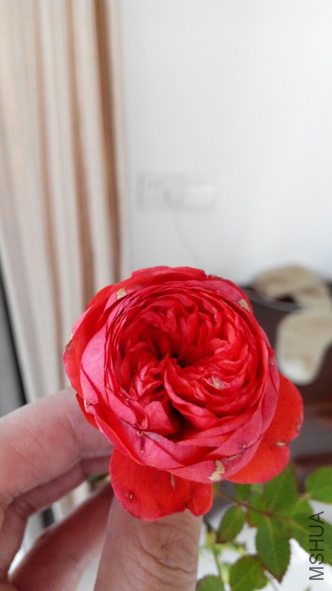 QQͼƬ20150303225234.jpg
