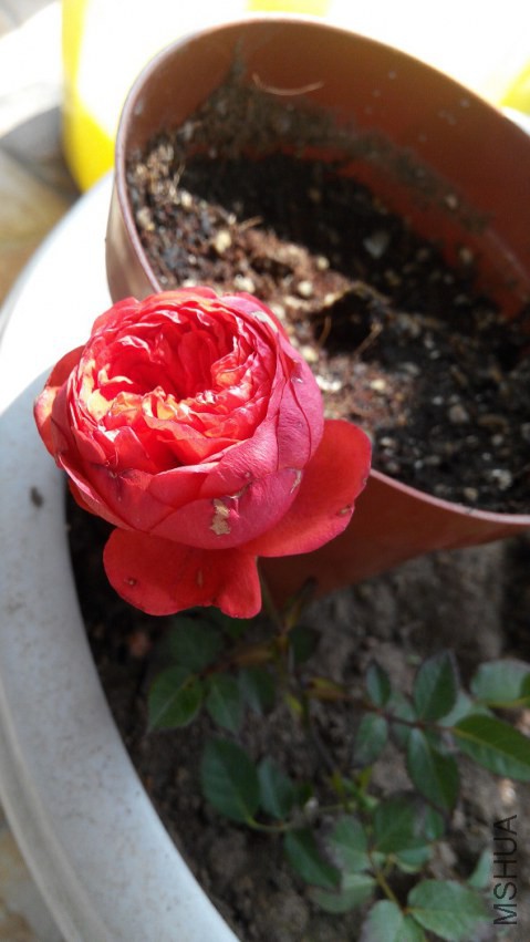 QQͼƬ20150303225244.jpg