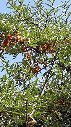 20141001_132447.jpg