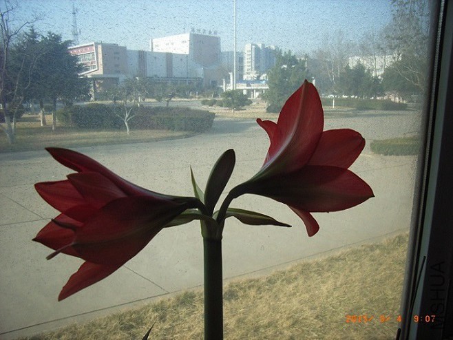 335.jpg