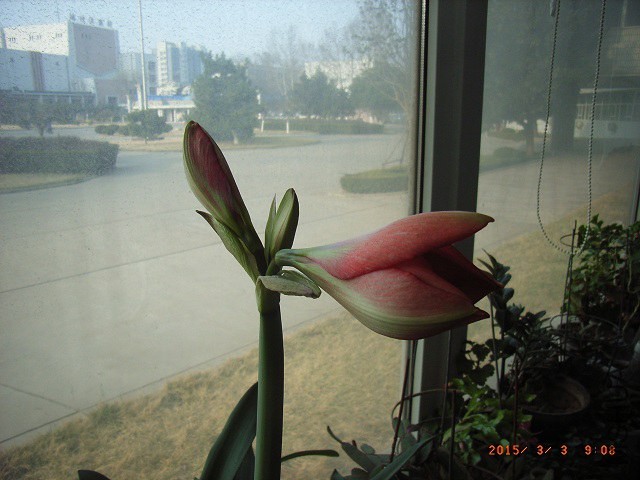 319.jpg