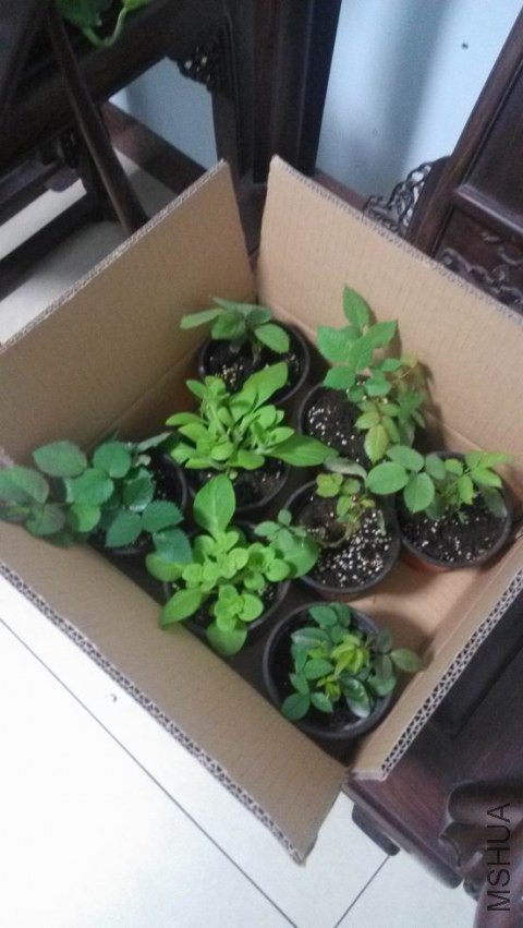 ������С IMG_20150303_072652.jpg