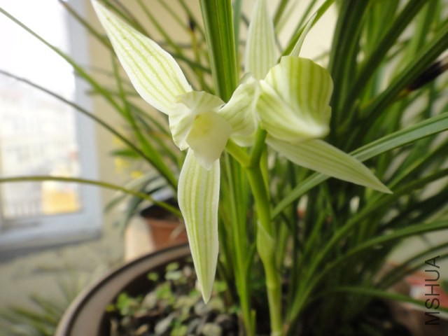 DSC01664.JPG