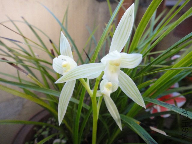 DSC01682.JPG