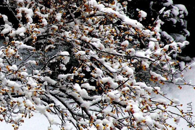 psb (1408)_����.jpg