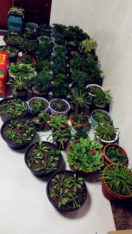 QQͼƬ20150304190841_����.jpg