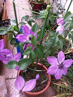 IMG_0002.JPG