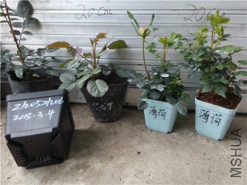 20150303144209.jpg