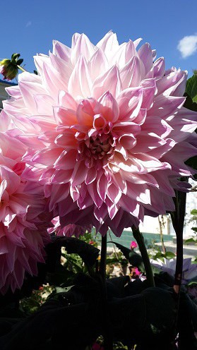 20140925_162210.jpg