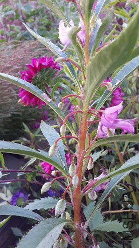 20140925_162854.jpg
