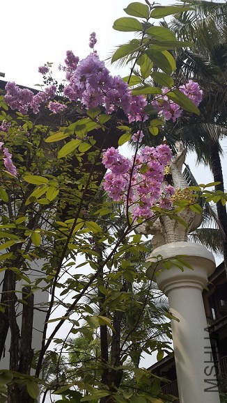 20140406_114555.jpg