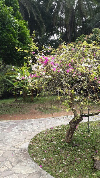 20140407_112950.jpg