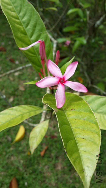 20140407_113143.jpg