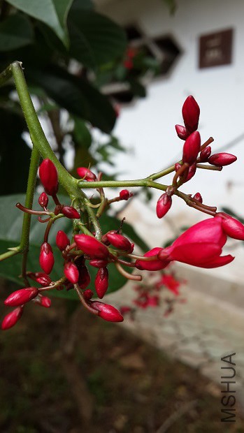 20140407_113947.jpg