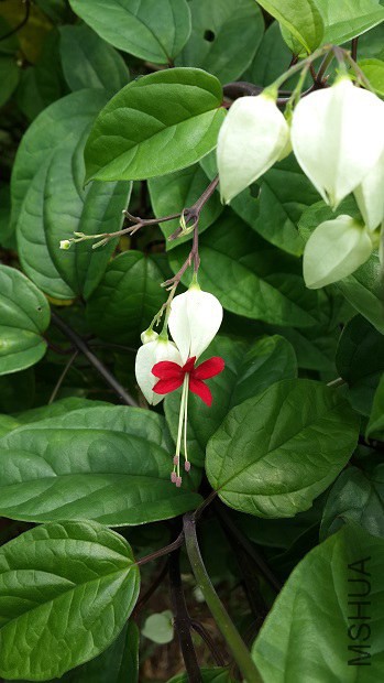 20140407_113440.jpg