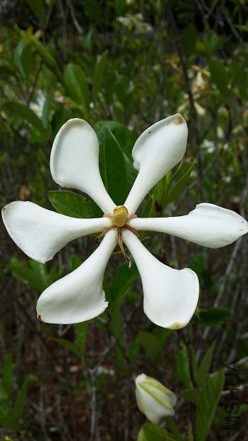 20140407_113550.jpg