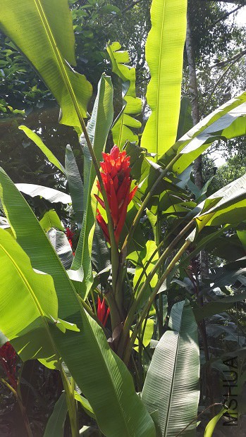 20140407_121848.jpg
