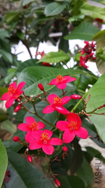 20140407_114000.jpg