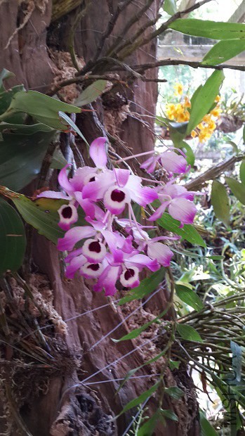 20140407_122519.jpg
