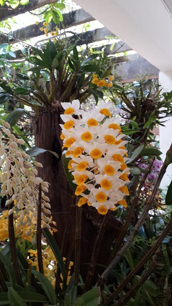 20140407_122505.jpg