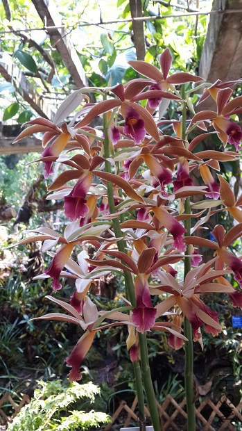 20140407_122534.jpg